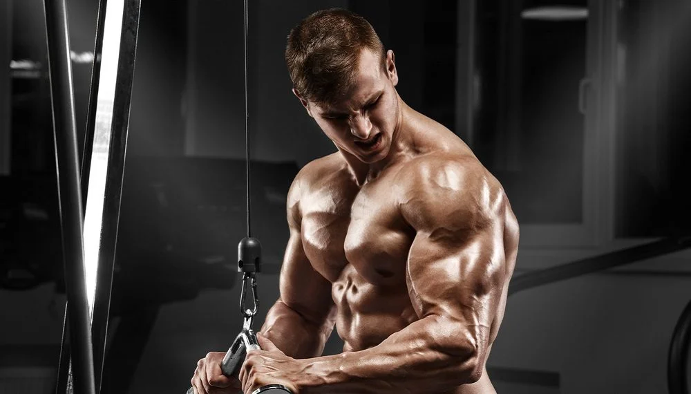 Best Tricep Workouts